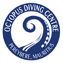 Octopus Diving pereybere