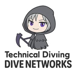 DiveNetworks logo