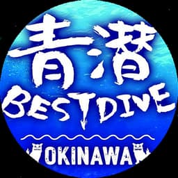 Best Dive Okinawa logo