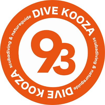 γγ€γγ―γΌγΆ