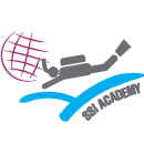 SSI ACADEMY logo