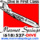 Mermet Springs Inc. logo
