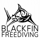 Blackfin Freediving logo