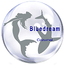 Bluedream Cozumel logo