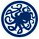 Octopus logo