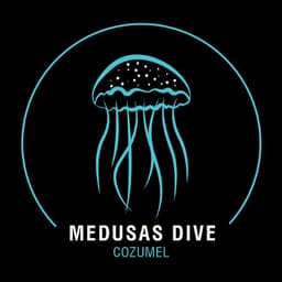 Medusas Dive logo
