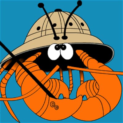 Adventure Scuba & School