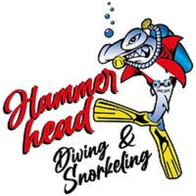 HAMMER HEAD DIVING & SNORKELING