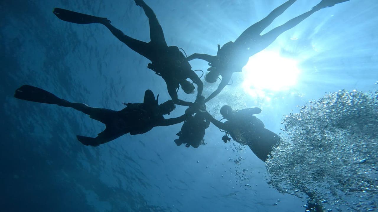 ChrisDiving Dive Center — 5